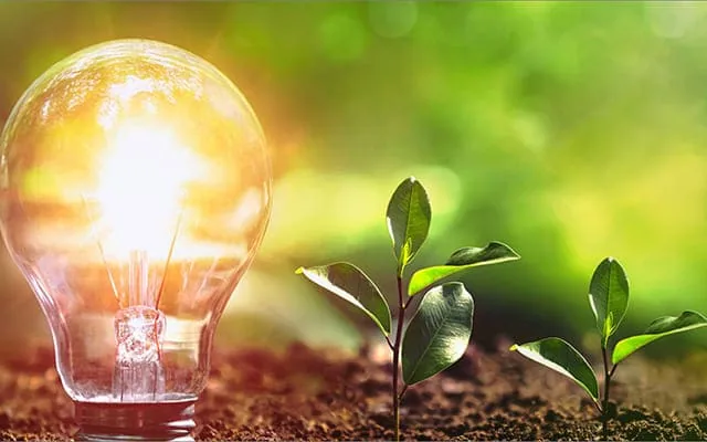 Glowing light bulb beside a seedling in soil