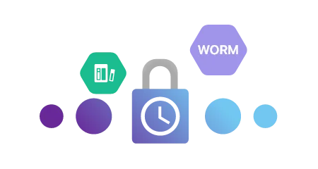 Snapshot, lock and WORM icons for data protection