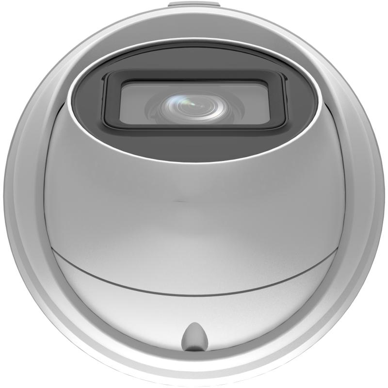 Bottom View
