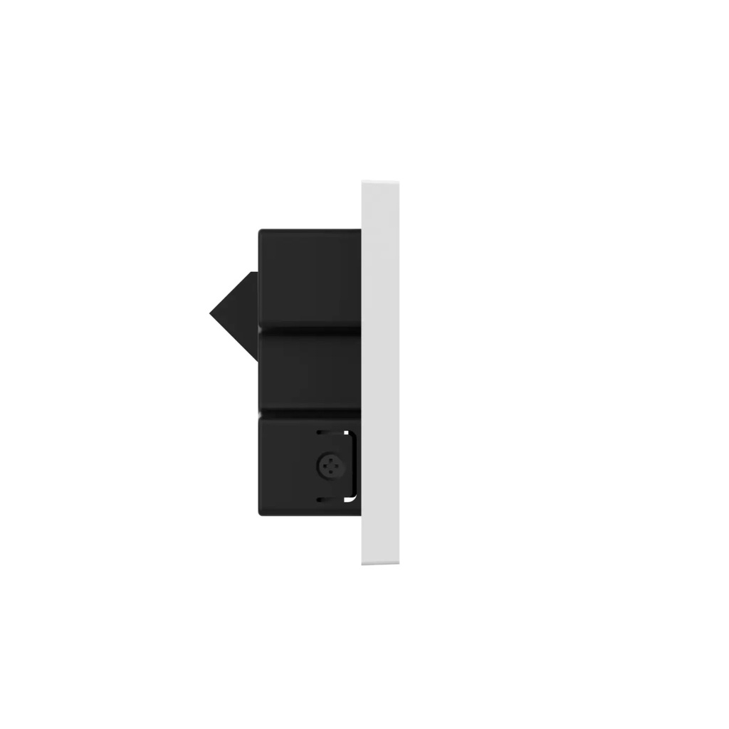 RG-RAP12611.webp