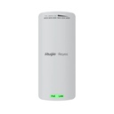 RG-EST100-E1.webp