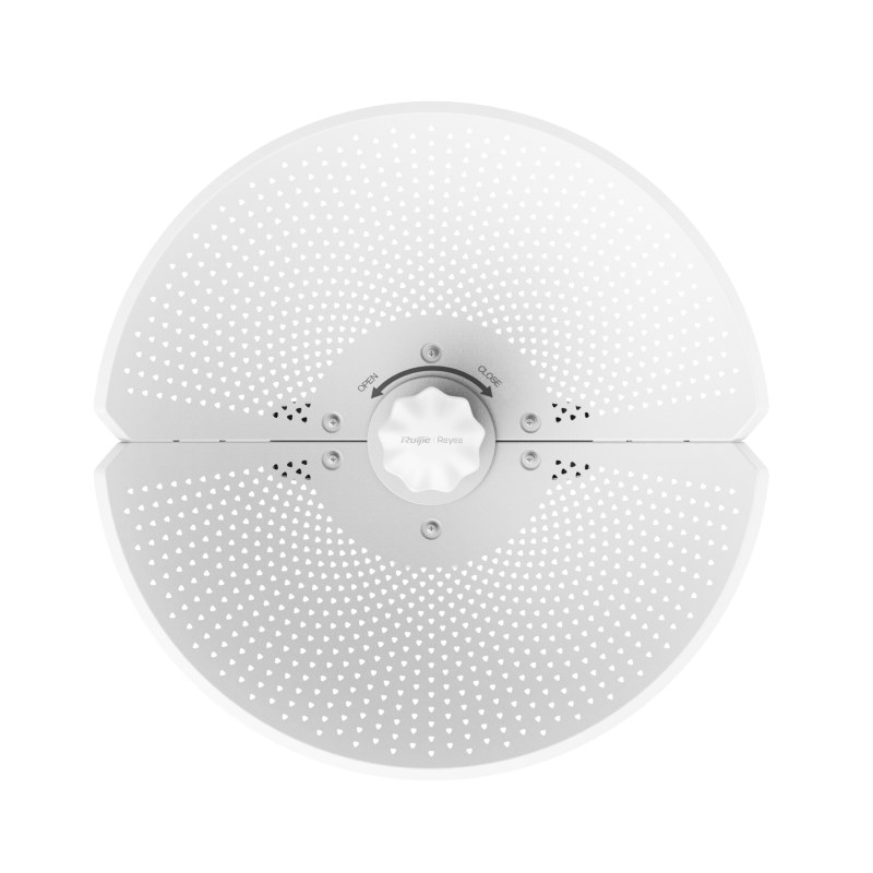 RG-AirMetro460F View 1