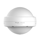 Ruijie RG-RAP6262(G) Reyee Wi-Fi 6 AX1800 Outdoor Omnidirectional Access Point, IP68, 2 x GbE, PoE+ or DC