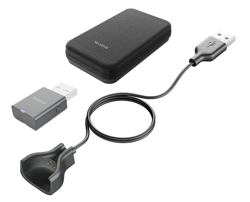 Portable accessory kit for WH63 / WH67