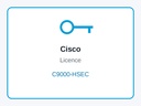 Cisco C9000-HSEC High Security (HSEC) Licence for Catalyst 9000X Switches, IPsec and WAN-MACsec