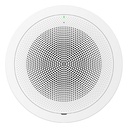 Grandstream GSC3506-V2 Multicast SIP Paging Speaker 30W HD PoE++