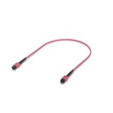 Ubiquiti UACC-OFC-MA-MPMP-0.5M Indoor OM4 Multi-mode Fiber Patch Cable